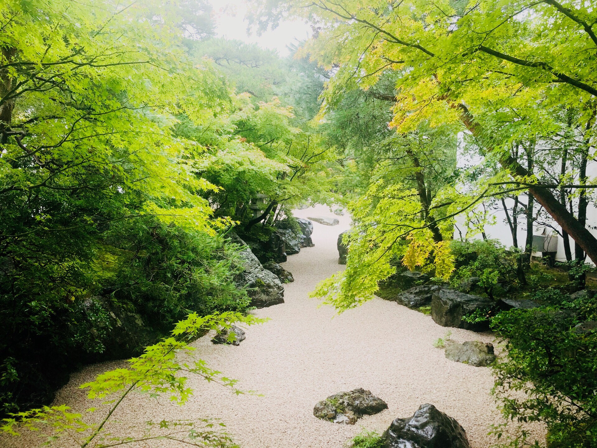日本一的日式庭院🏡美景，太干净了！