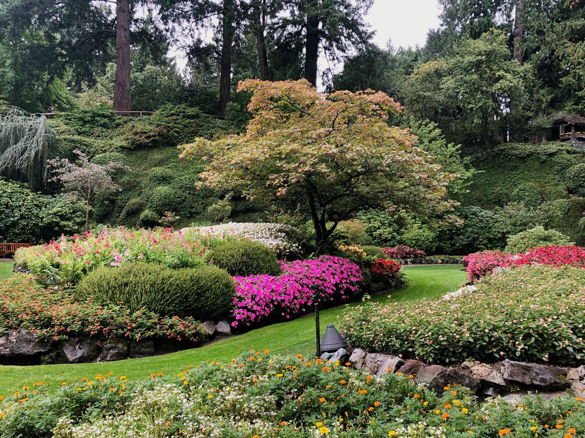 维多利亚布查花园太美了，不虚此行。