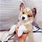 啊啊啊啊啊念头啊