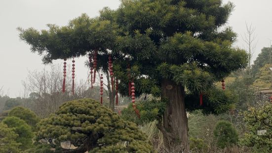 Longfenggu Scenic Area