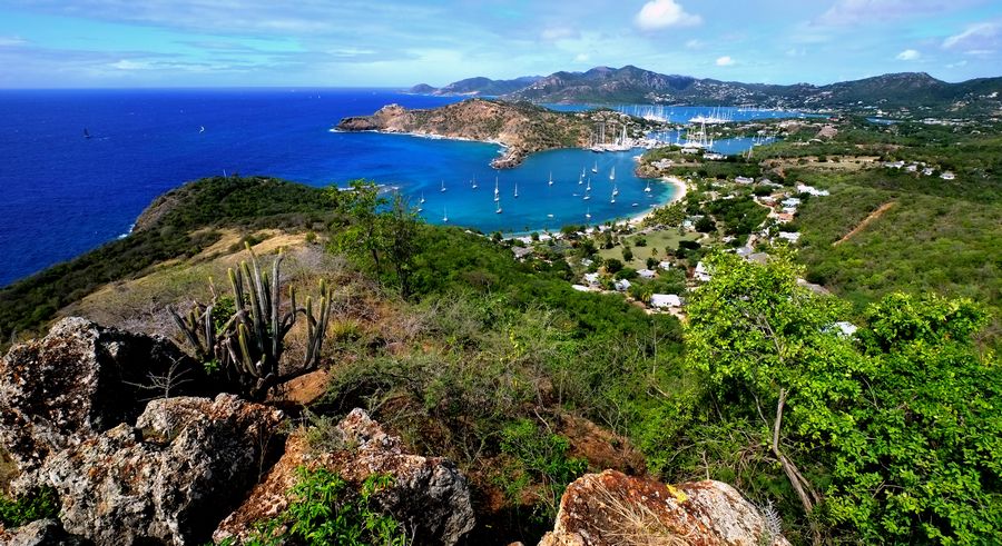 蓝绿清透的加勒比海颜色，植被茂盛的热带雨林，独一无二的粉色沙滩，缤纷多彩的海底世界，喷薄岩浆的蒸汽火