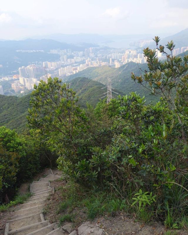 狮子山郊野公园