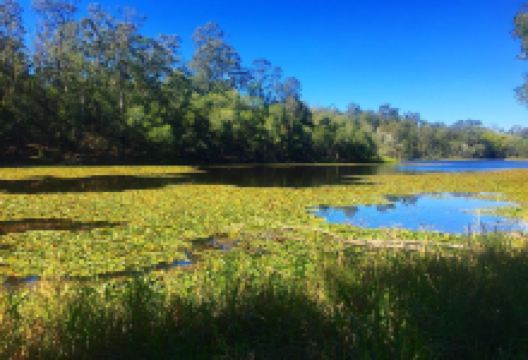 D’Aguilar National Park景点图片