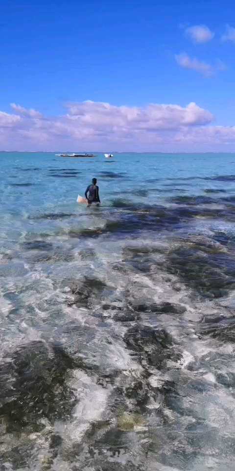 毛里求斯🇲🇺出海浮潜BBQ 现场抓海胆 海胆刺身 配柠檬汁 第一次生吃