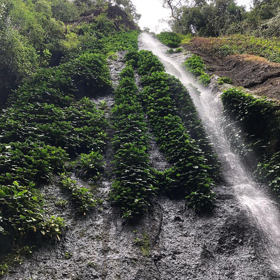 🚤百胜滩瀑布  说起瀑布那就不得不提百胜滩瀑布了，位于【马尼拉的东南方向近105公里】，最刺激的莫过
