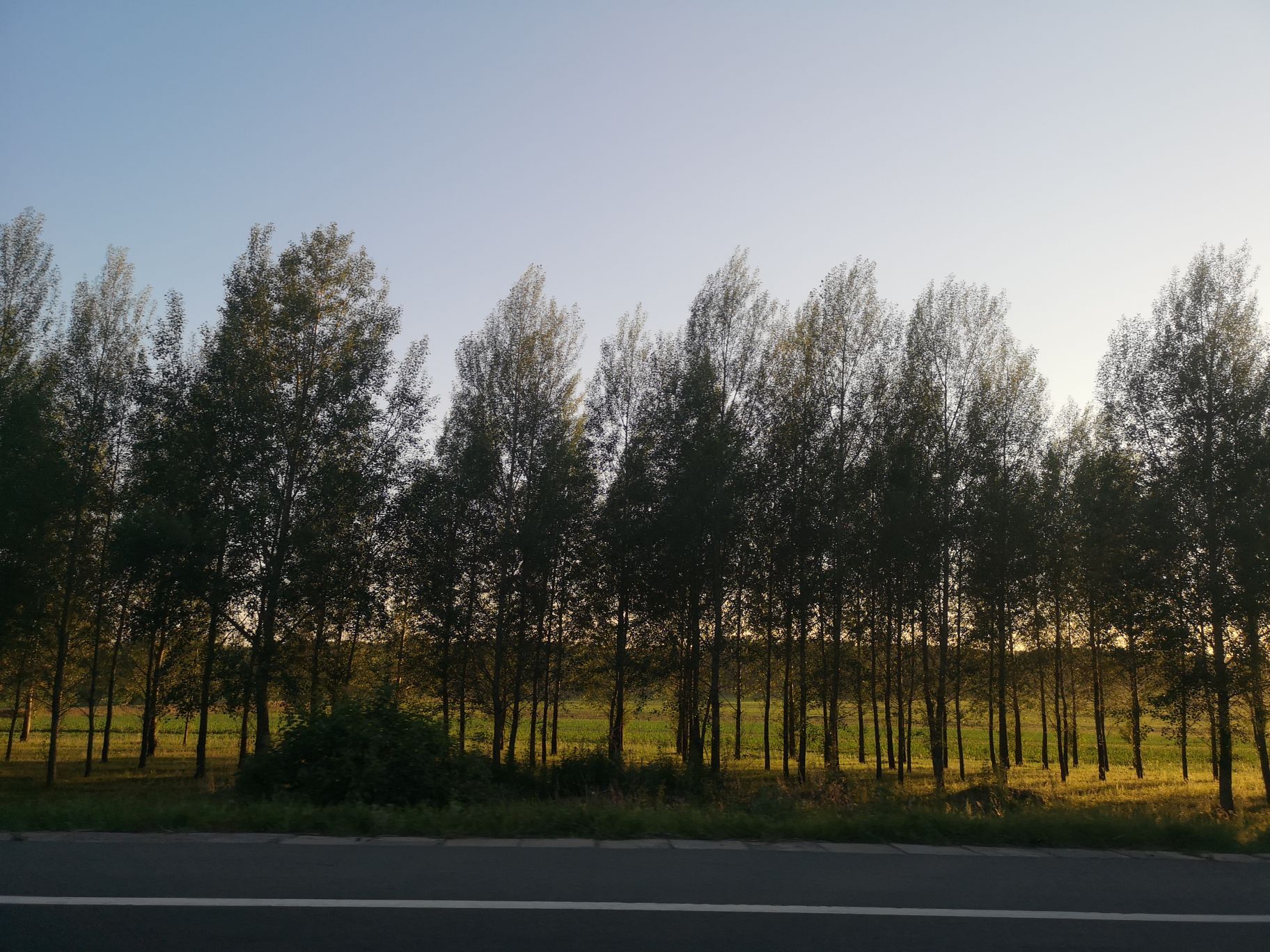 甘南好林场，沃土阿荣旗