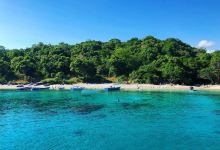 Moyo Island景点图片
