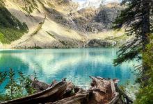Duffey Lake Provincial Park景点图片