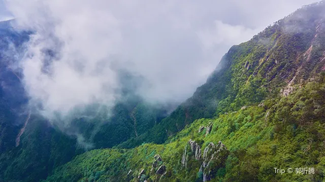 蒼山