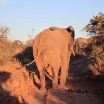 格雷厄姆斯敦图片