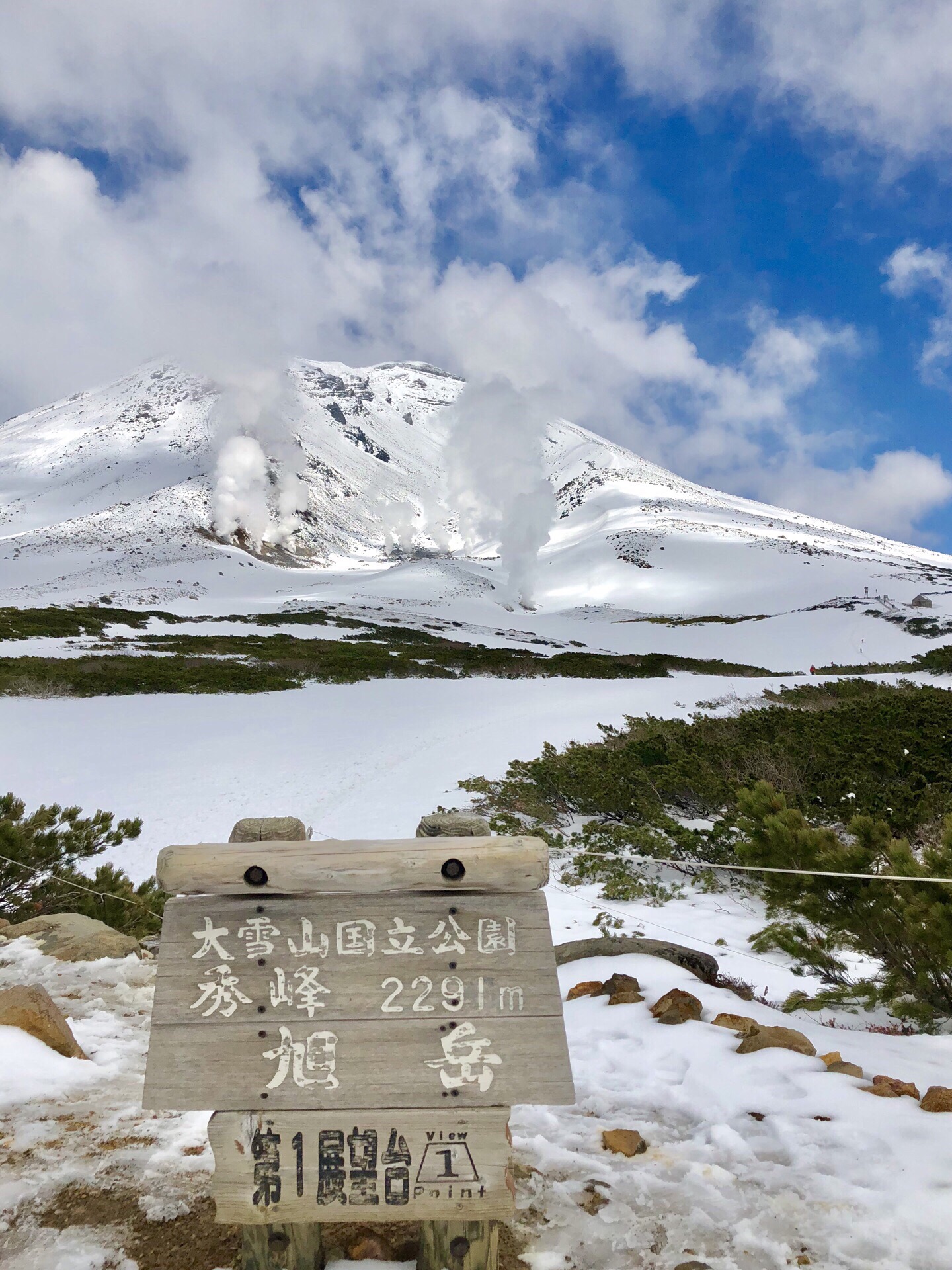 旭岳，是北海道最高的 活火山，高2291米。冬季是滑雪者的天堂。我是春末夏初来到，感到最特别的是雪山