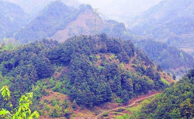 重庆凤凰山
