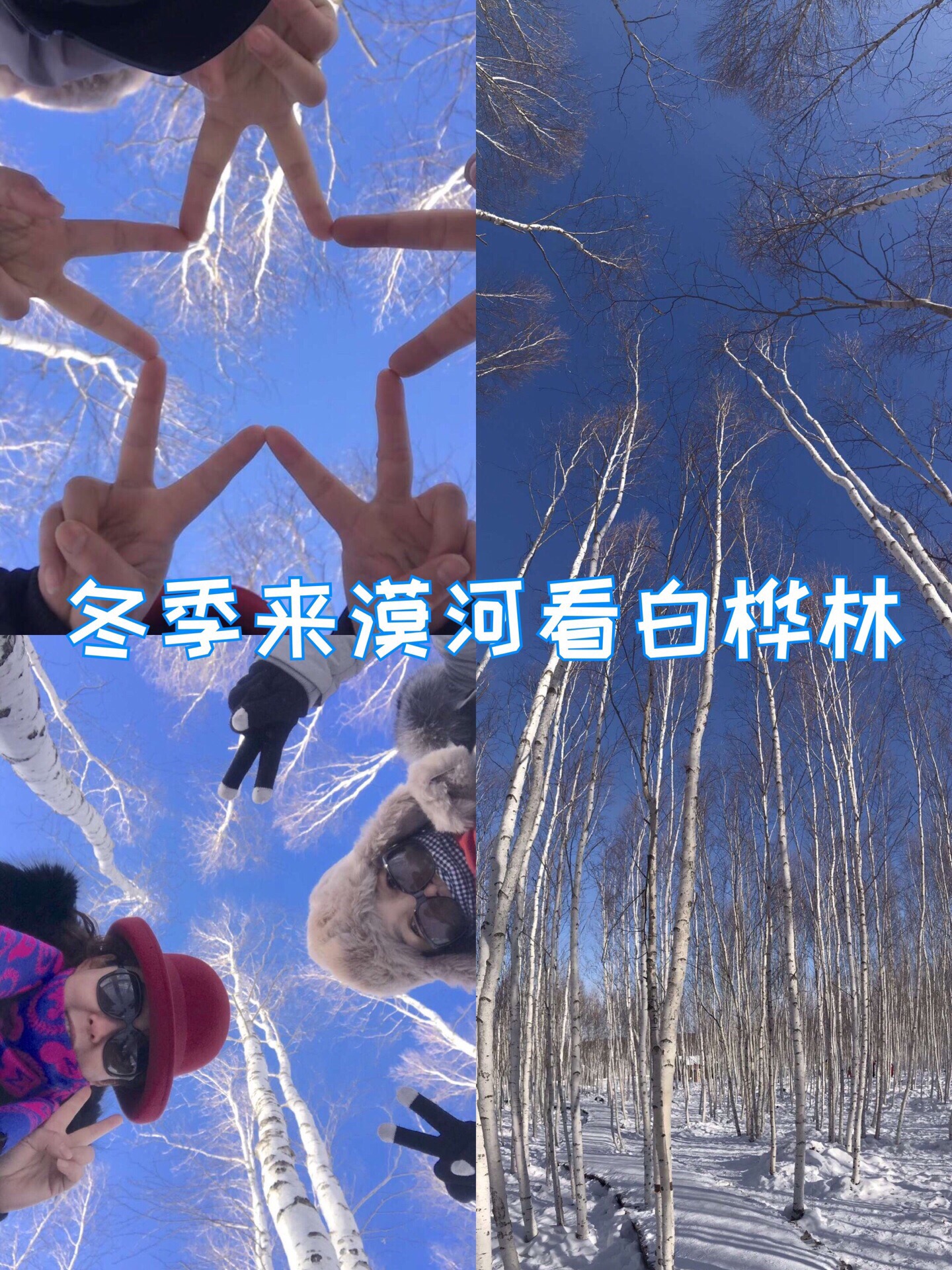 在漠河体验极寒之美-白桦林花式拍照