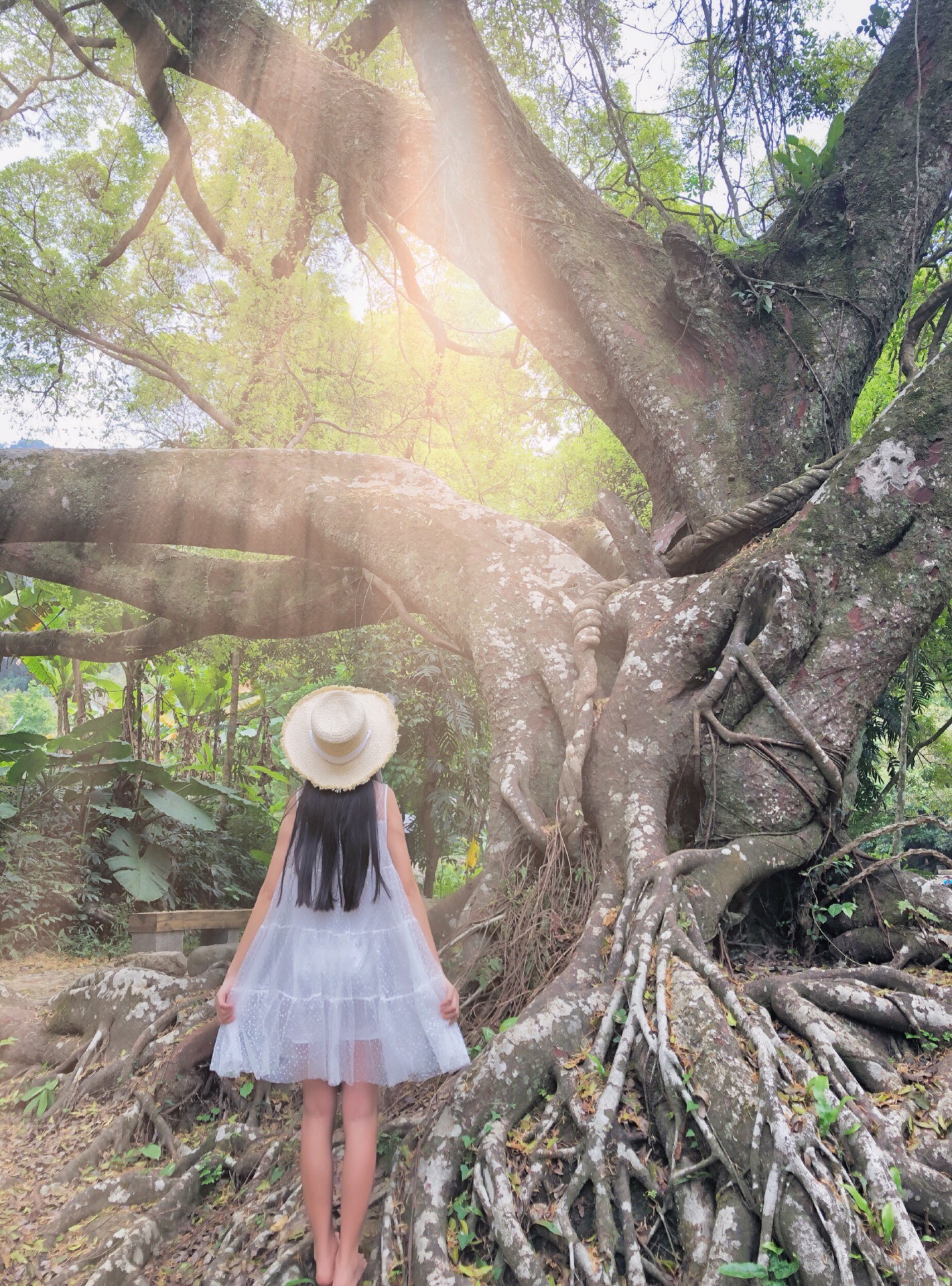 广州石门森林公园｜夏天避暑胜地，快来玩