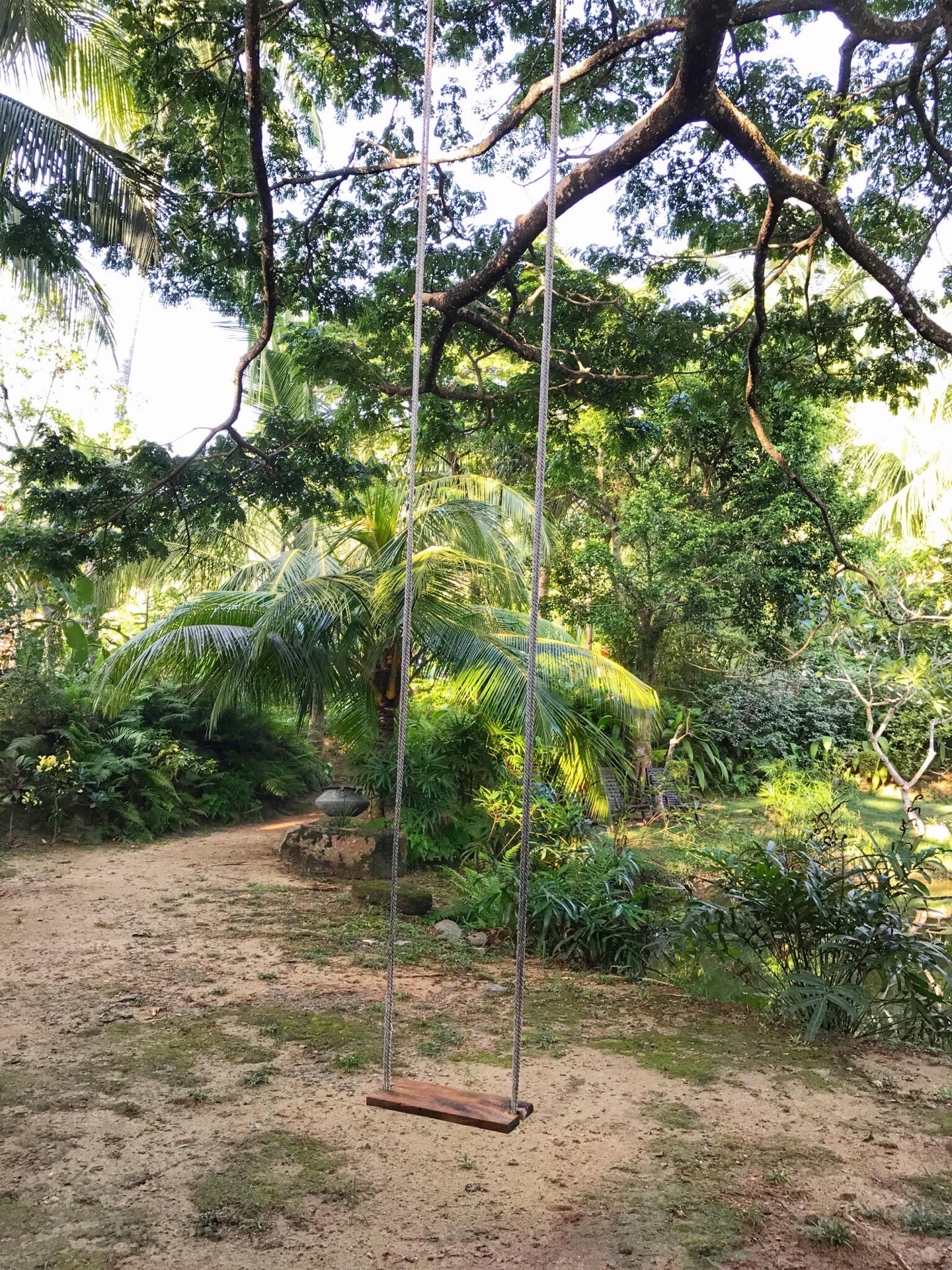 斯里兰卡｜民宿里的大树秋千  民宿位置不错，虽然不是海景房，但是酒店距离海滩很近，也就100多米。 