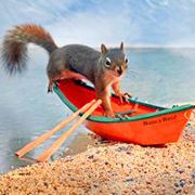 隔壁的老王蓦蓦然然