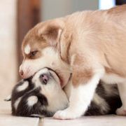 马先森的马太太