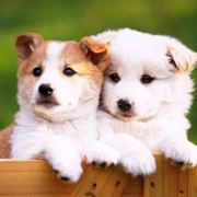 随便你叫什么都可以