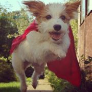 一个帅气的名字