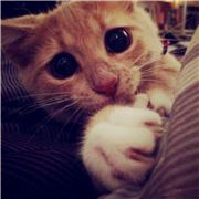 一根筋的小兰姑娘