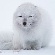 刘俊求滚来滚去