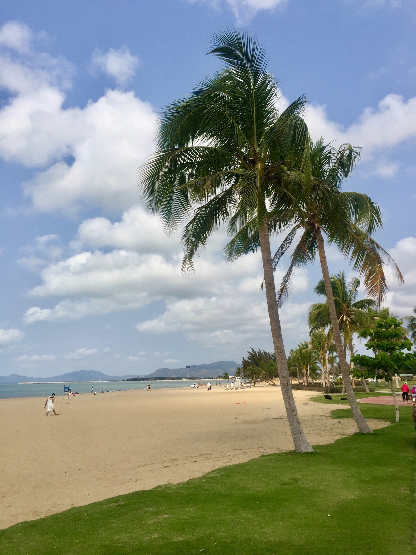 水南村