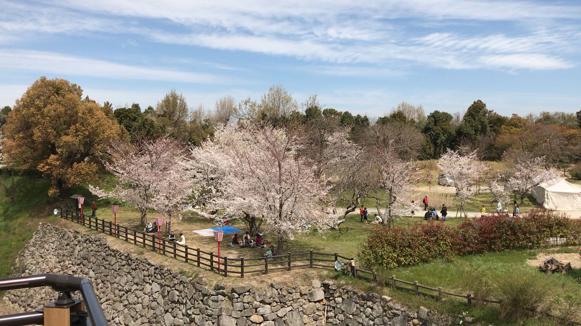 郡山城的樱花季基本上是只有本地人才来赏樱的地方，小众而清静。