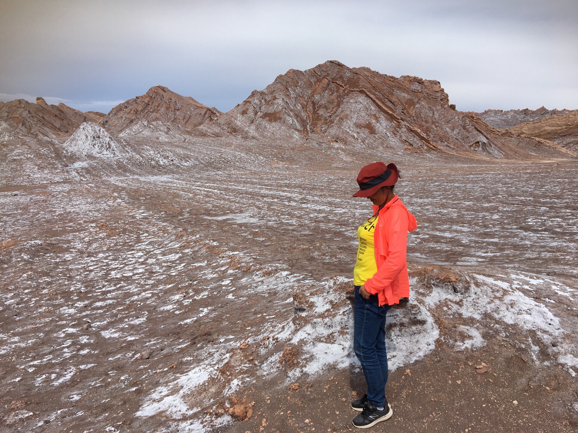 智利北部 Atacama 沙漠 月亮谷落日半日游  前几天还是沙漠突发大水 所有景点关闭 我们在20