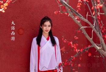 宁夏银川一日游 西夏陵＋镇北堡影视城＋贺兰山岩画2~6人纯玩【· VIP小团尊享，纯玩无购物 严格控制在2-6人精品小团，确保游玩品质。拒绝走马观花，全程无购物店】