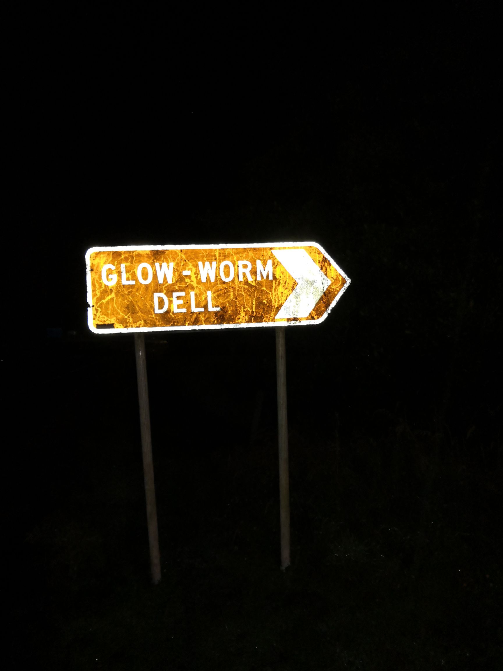 霍基蒂卡萤火虫洞是在路边的一个小山坡上，路边有免费停车位，步行约2分钟即可见到闪闪发光的萤火虫，日间