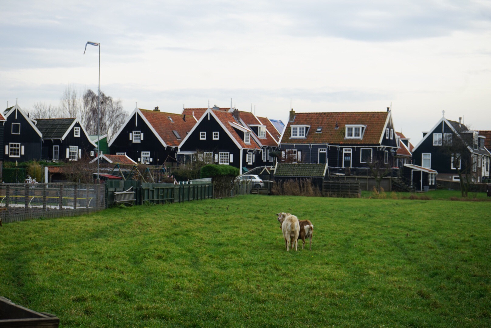 马尔肯（Marken） 荷兰的传统渔村，颇有一番世外桃源的味道。 村中小河纵横,河上架着以荷兰王室成