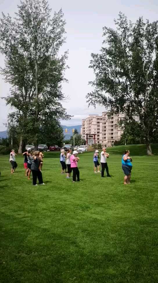 在加拿大的一个小城市的公园里，一个洋人正在教一群洋大妈打太极拳。据说是杨氏四十式太极拳有模有样，但收