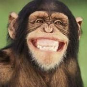 芜泪珥之我是射手座