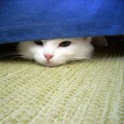 大头玲在奋斗的路上