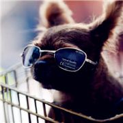 不屈不挠的贺敏颜