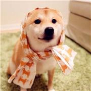 小勤熊