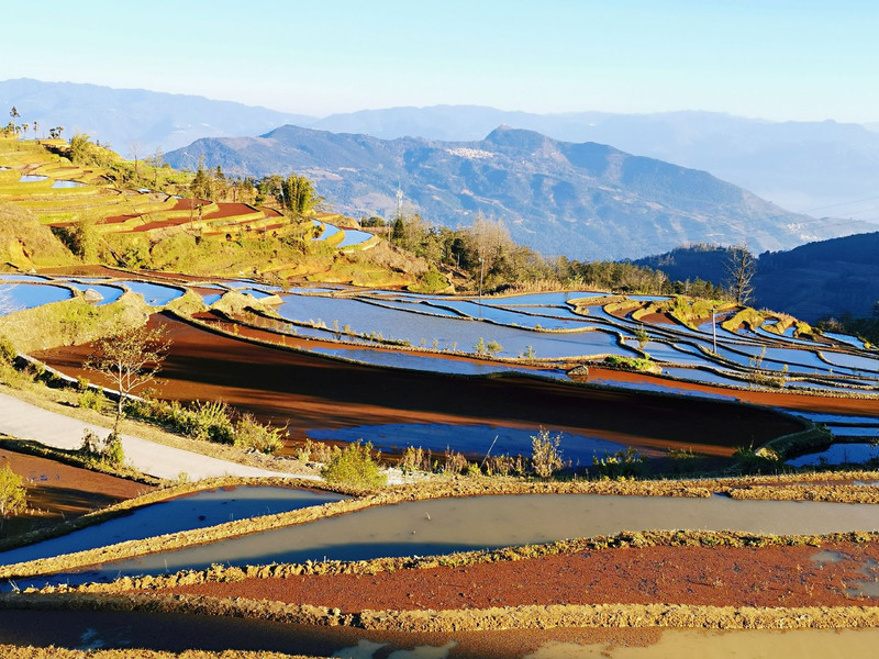 哈尼梯田
