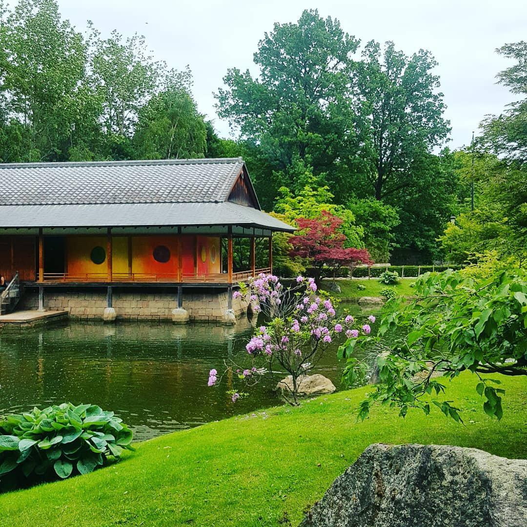 日本花园——在比利时体验日式风情  💟💟💟 游玩日本花园的一日感受  这次我来的日本花园可不是在日本