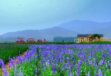 山东沂蒙钻石国家矿山公园景点图片