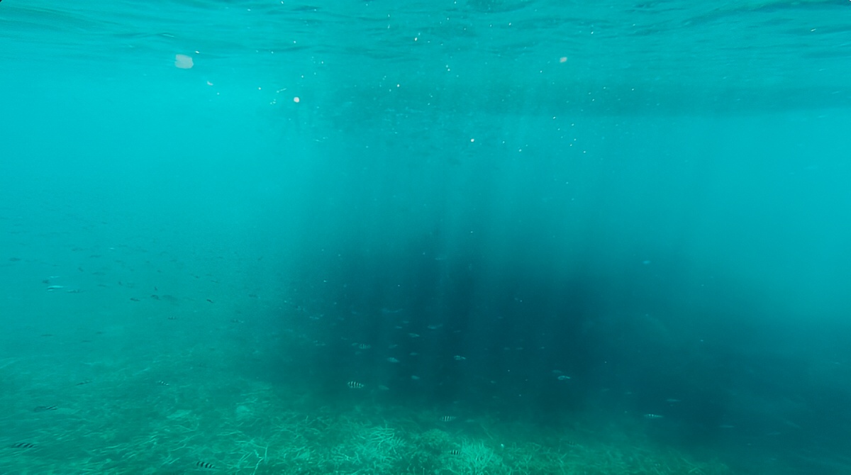 泰国涛岛是世界级的潜水胜地，离苏梅岛只有1个小时的海上行程，所以出海浮潜也是苏梅岛旅行很有意思的一次