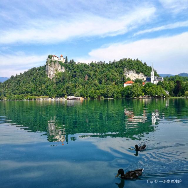 Bled Castle (Blejski Grad)