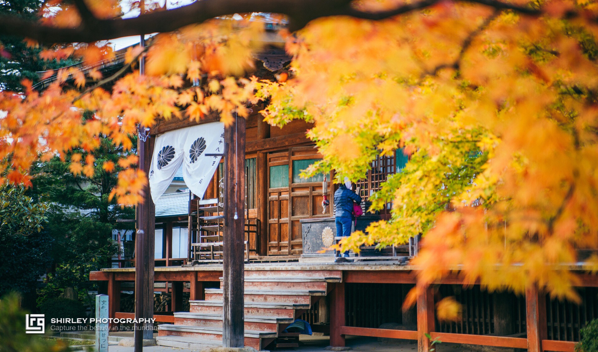 飞弹国分寺位于宫川西侧，是高山最古老的寺庙，颇有神社风格的寺内正殿是高山市最古老的建筑物，寺庙因其独