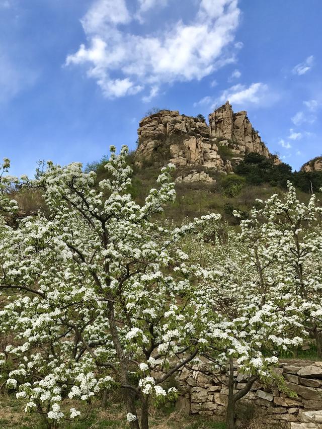 千家寨景区