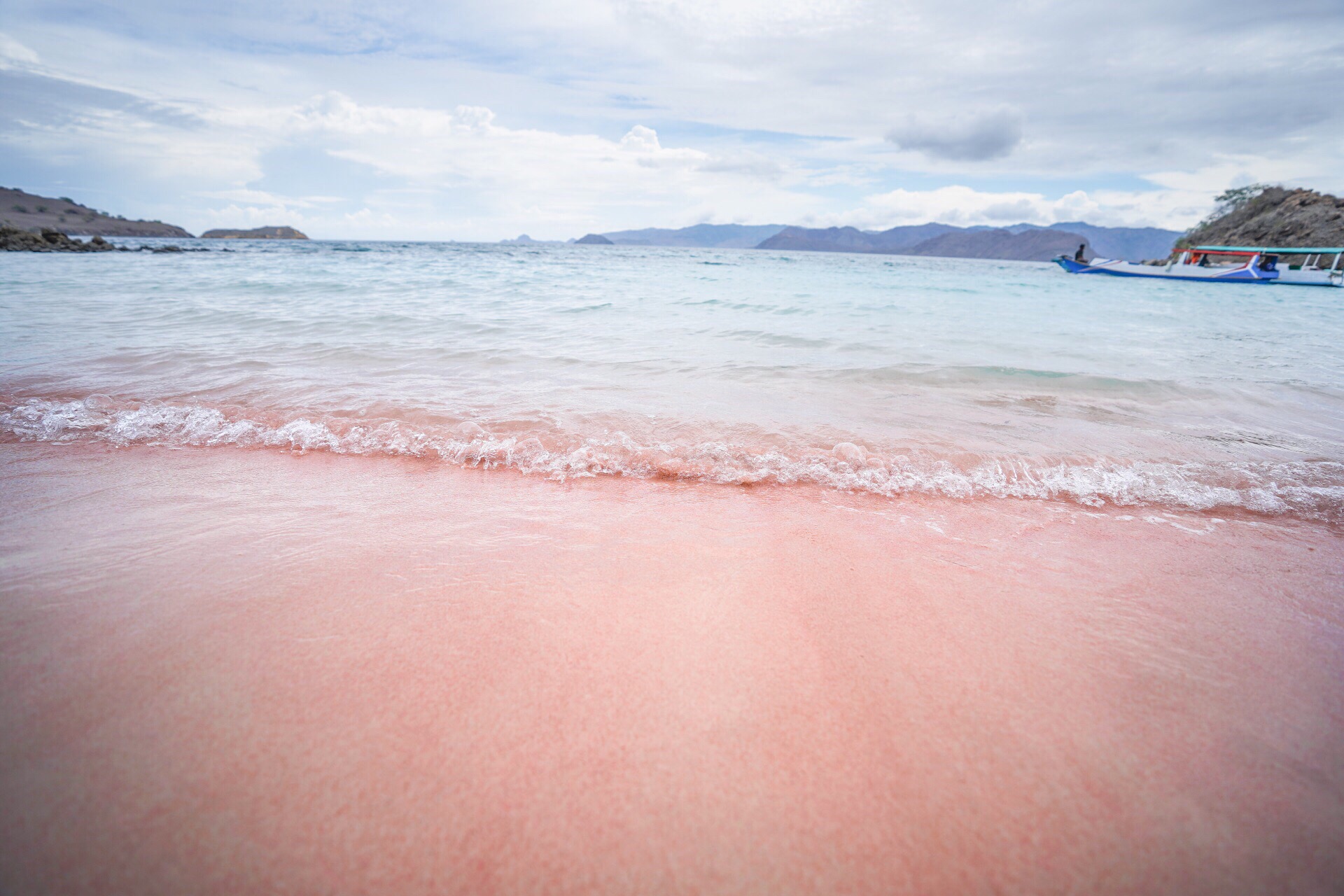为什么有粉色沙滩呢？🏖️  🗺经常在攻略里看到介绍某某粉色沙滩，照片粉的不要不要的，其实粉色沙滩并没