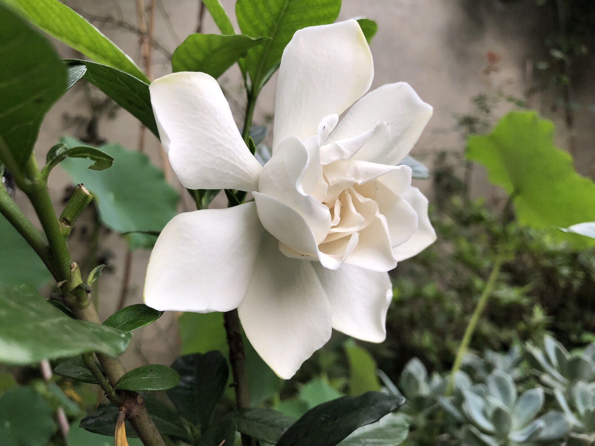 民族英雄葛云飞故里