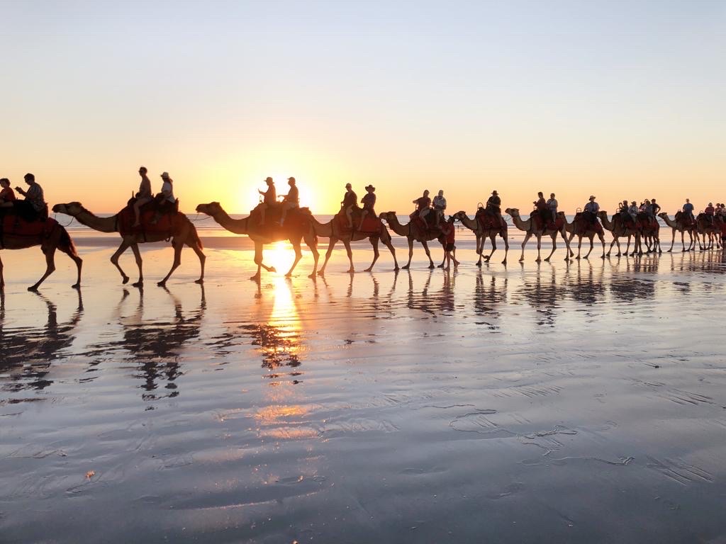 Cable beach , 西澳。 澳大利亚最美的日落沙滩。  坐了一次骆驼，还去拍了一次骆驼🐫。