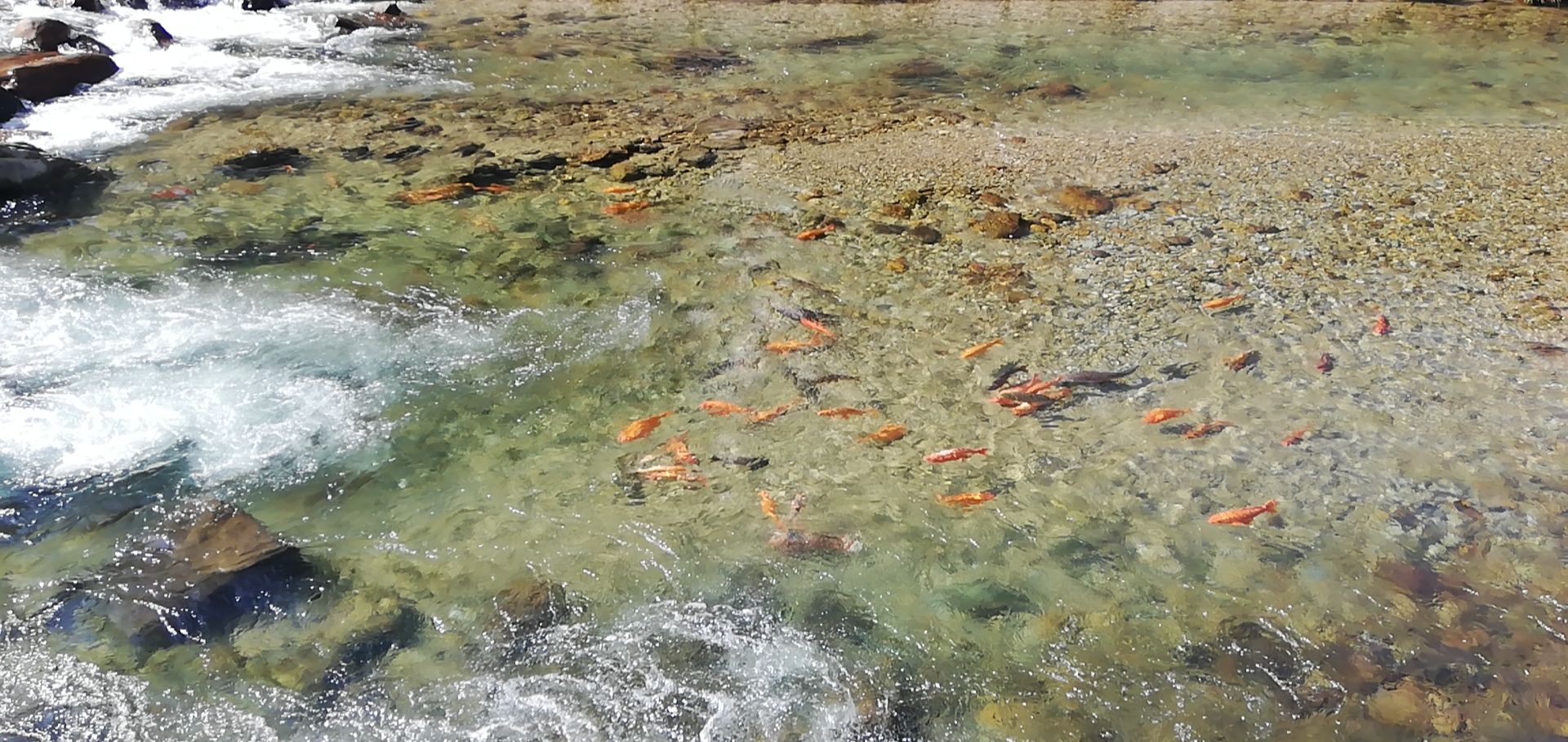 高山流水，一股清流。