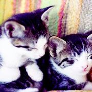 烟花灿烂的笑容