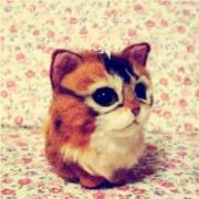 你的微笑像花兒朵