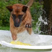 煎饼两个鸡蛋好吃